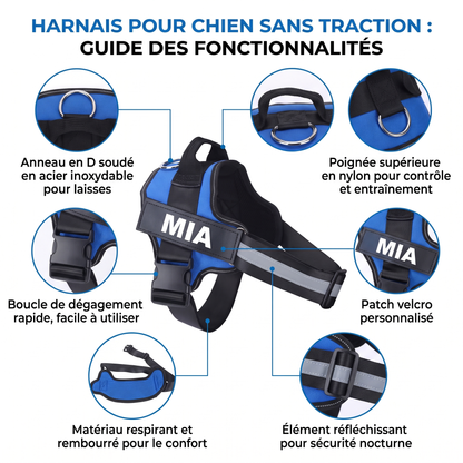 Harnais Chien Anti-Traction Personnalisé - Anneaux Métal, Réfléchissant