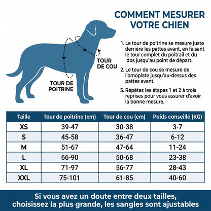 Harnais Chien Anti-Traction Personnalisé - Anneaux Métal, Réfléchissant