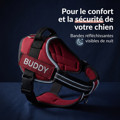 Harnais Chien Anti-Traction Personnalisé - Anneaux Métal, Réfléchissant