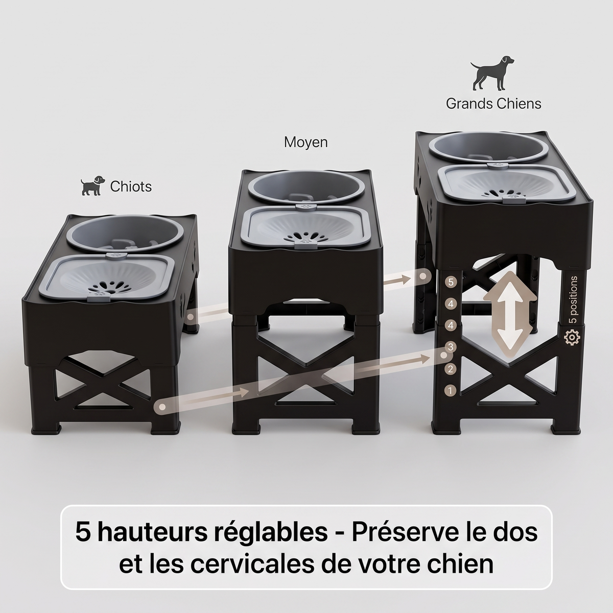 Gamelle Surélevée Chien Anti-Glouton - Hauteur Réglable, Abreuvoir - Maison Roam
