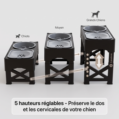 Gamelle Surélevée Chien Anti-Glouton - Hauteur Réglable, Abreuvoir - Maison Roam