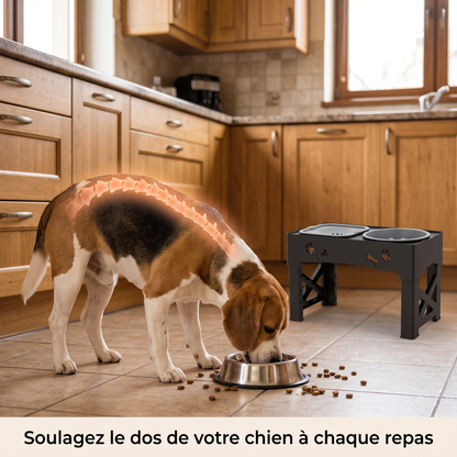 Gamelle Surélevée Chien Anti-Glouton - Hauteur Réglable, Abreuvoir - Maison Roam