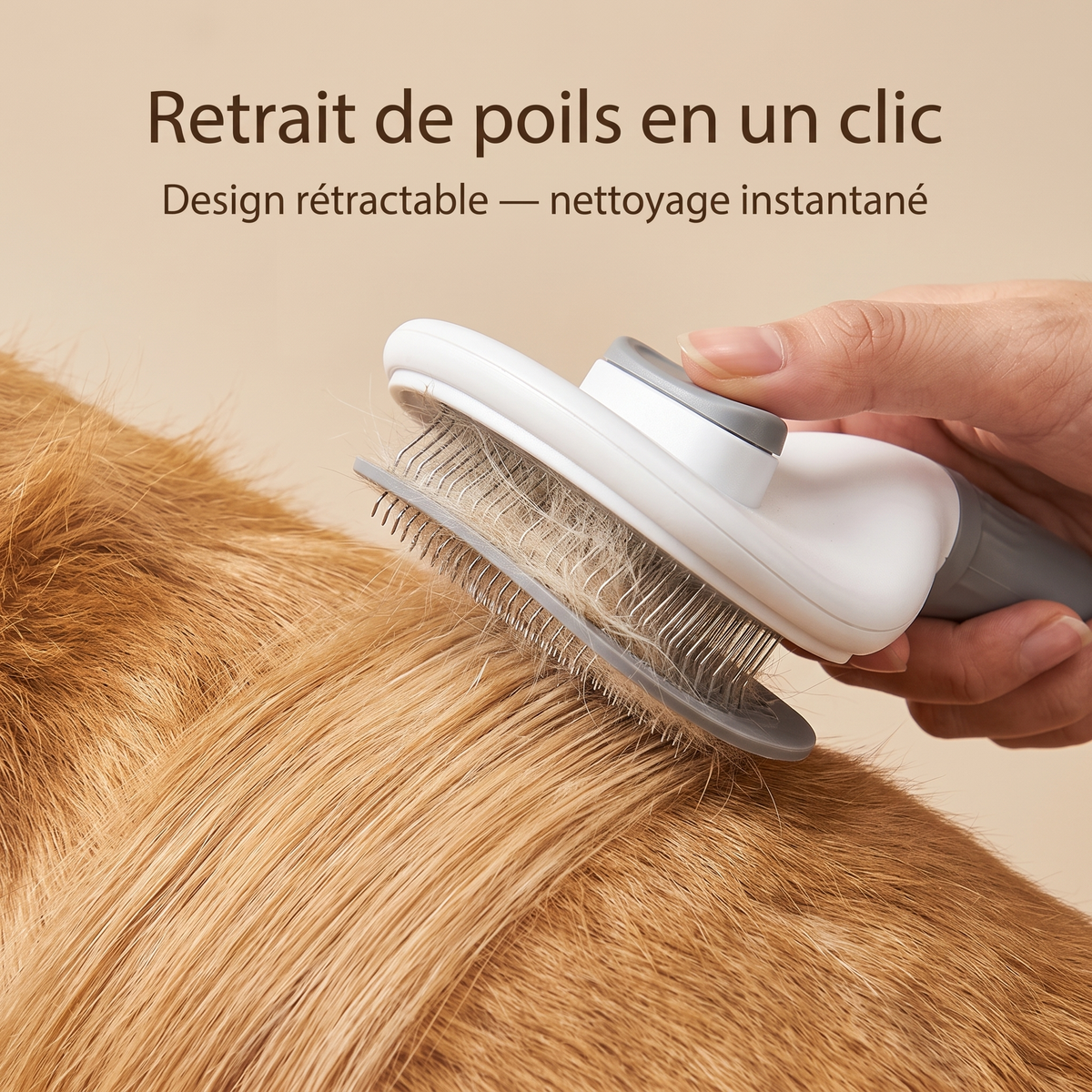 Brosse à Poils Chien Rétractable - Nettoyage Facile, Un Clic - Maison Roam